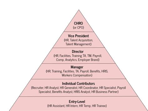 human resource hierarchy levels